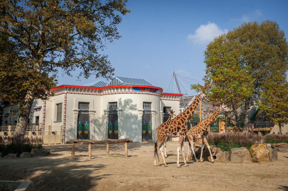 Antwerpen Zoo dierentuin - Reisliefde