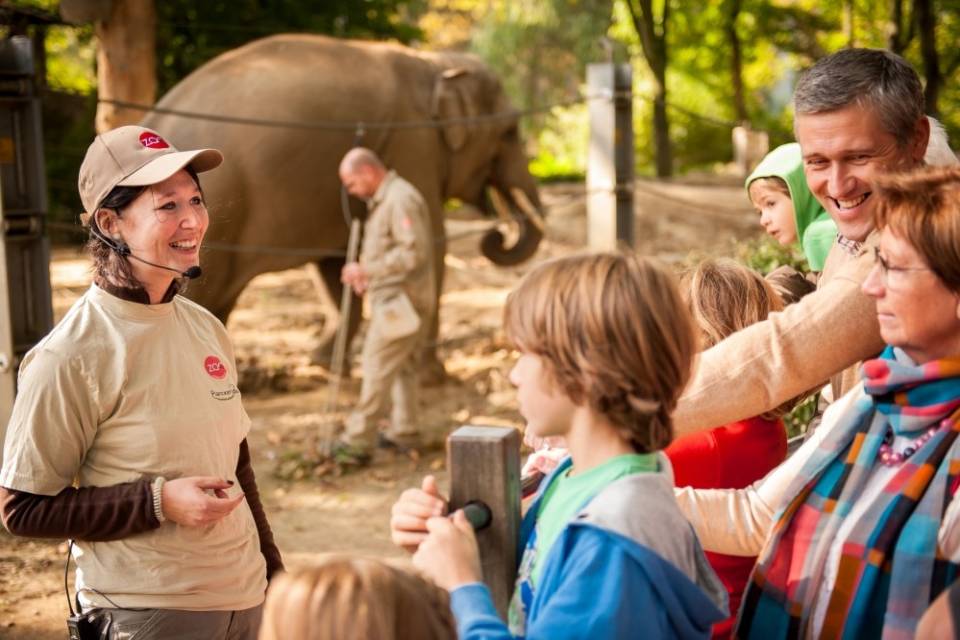 ZOO d'Anvers
