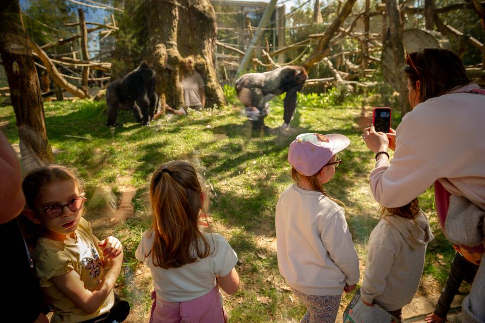 ZOO Antwerpen - Jonas Verhulst