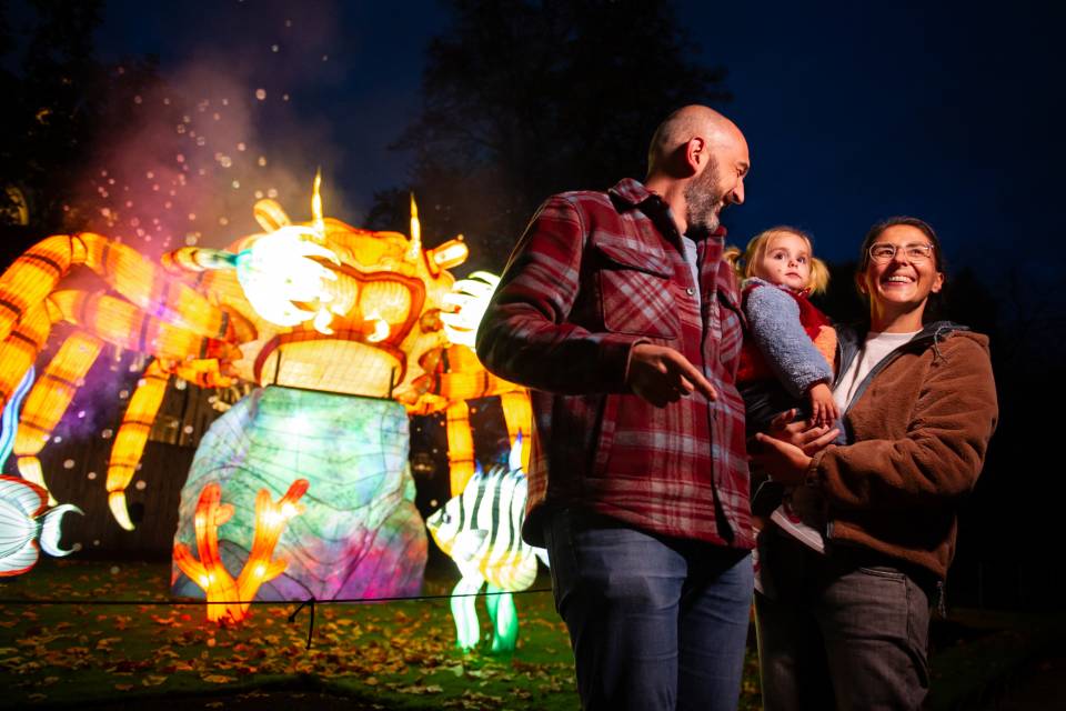 ZOO Antwerpen / Jonas Verhulst