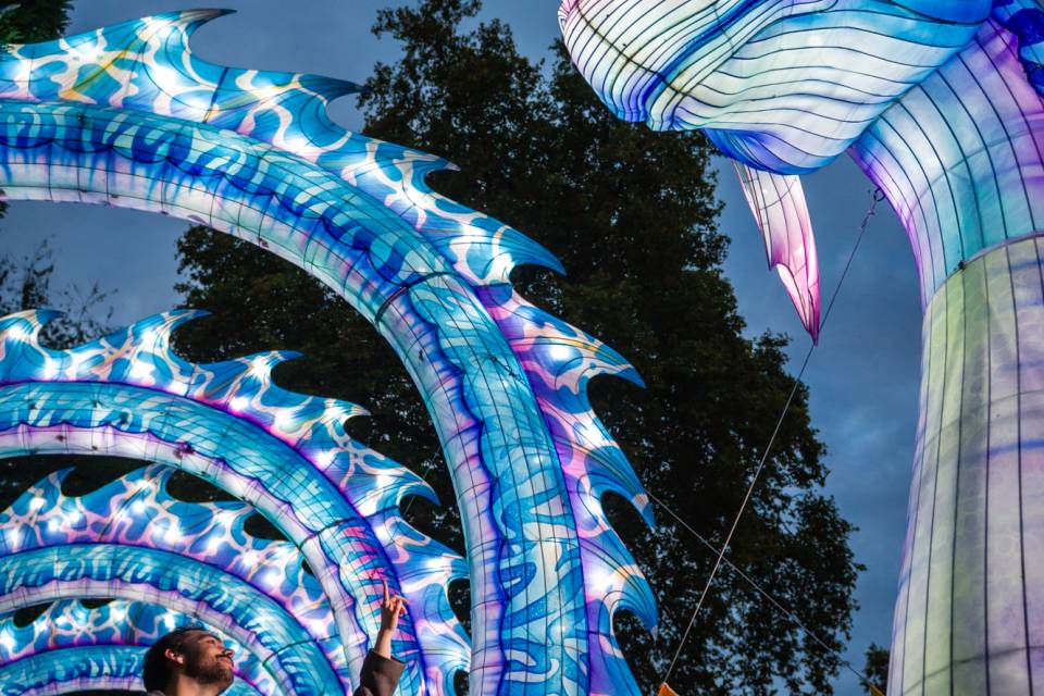 ZOO Antwerpen / Jonas Verhulst