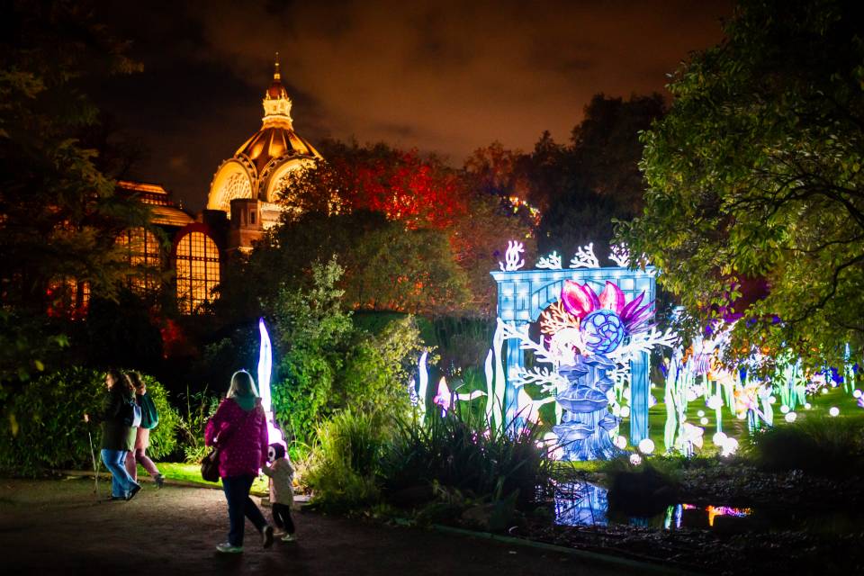 ZOO Antwerpen / Jonas Verhulst