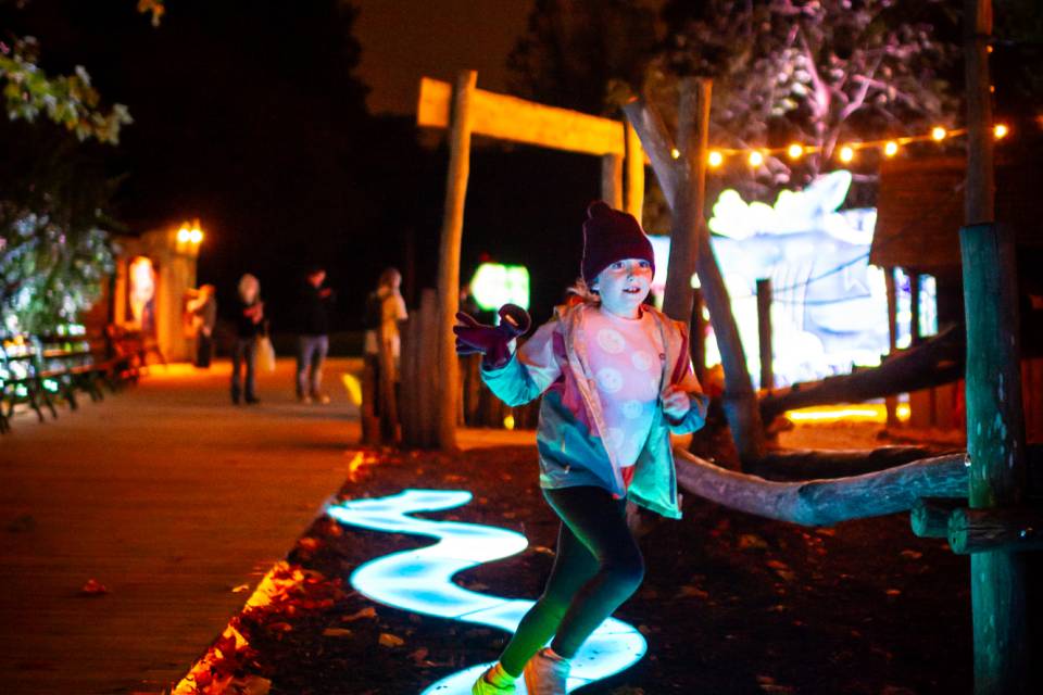 ZOO Antwerpen / Jonas Verhulst