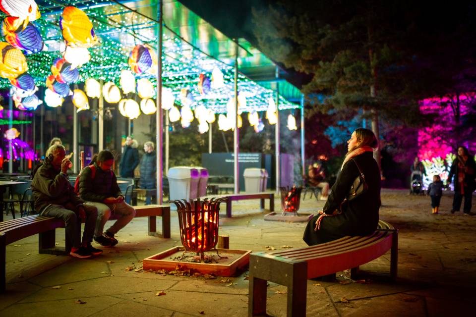 ZOO Antwerpen / Jonas Verhulst