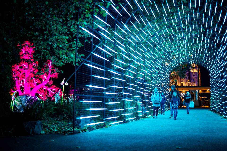 ZOO Antwerpen / Jonas Verhulst 