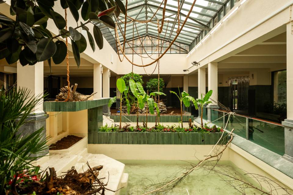 ZOO Antwerpen / Jonas Verhulst