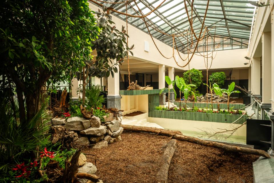 ZOO Antwerpen / Jonas Verhulst