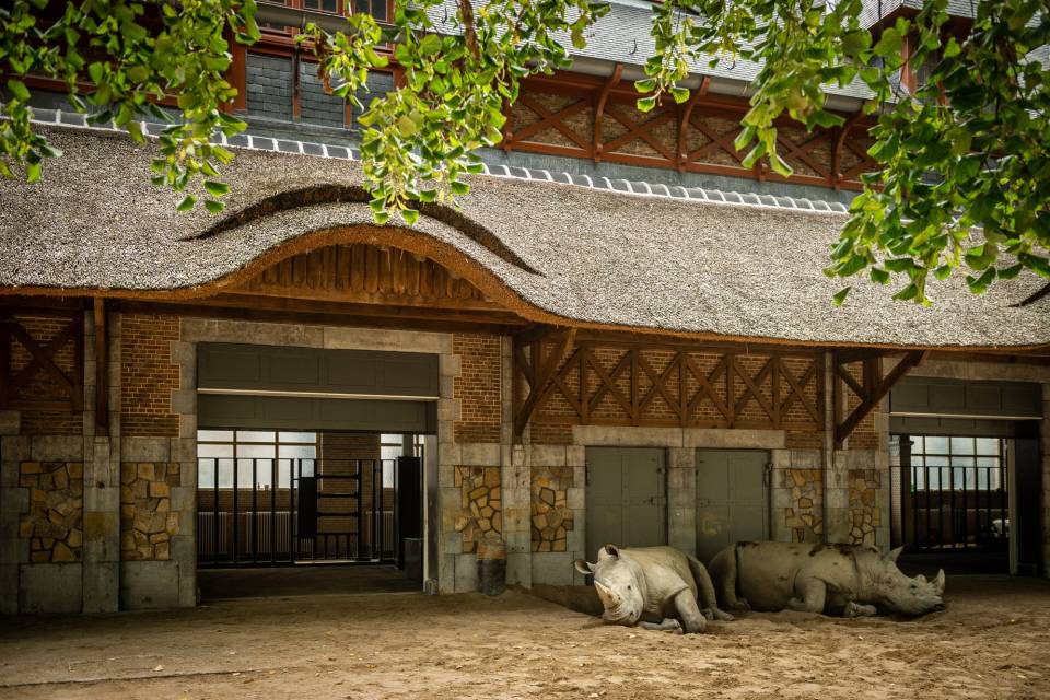 ZOO Antwerpen / Jonas Verhulst