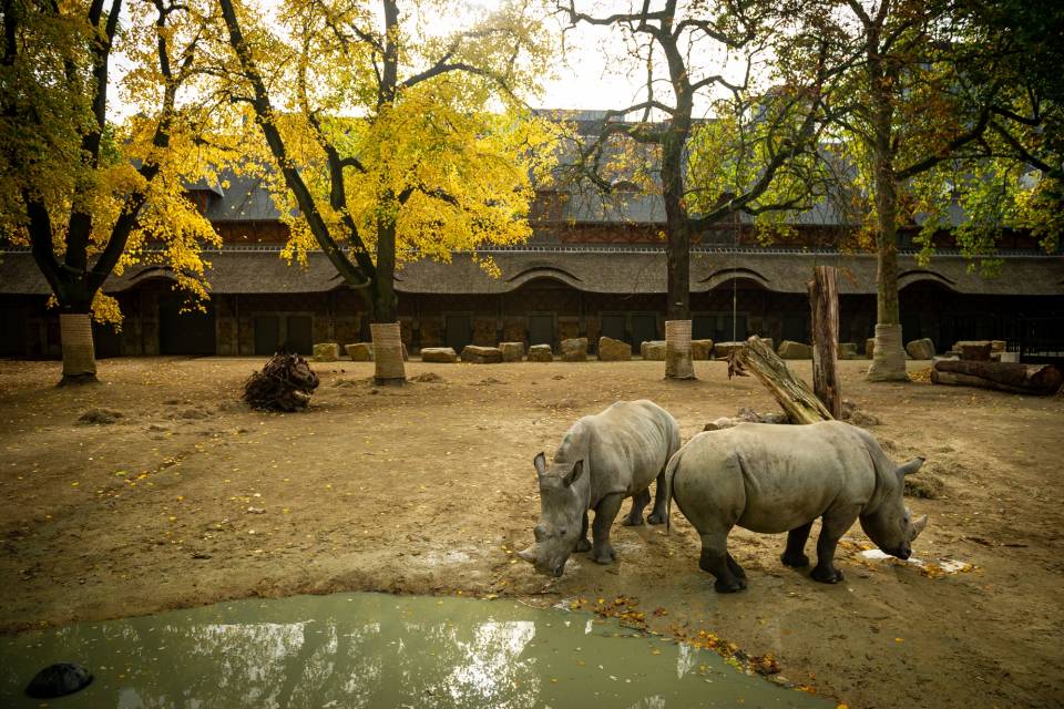 ZOO Antwerpen / Jonas Verhulst