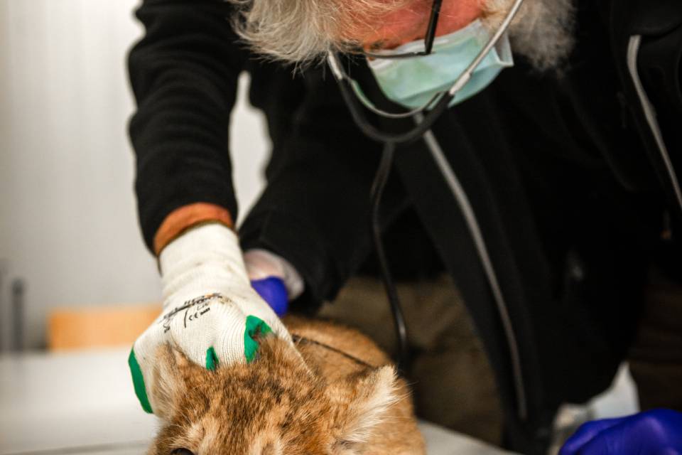 ZOO Planckendael / Jonas Verhulst