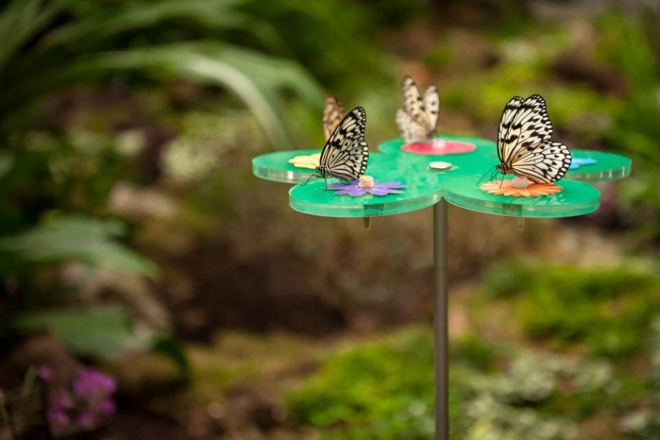 ZOO d'Anvers