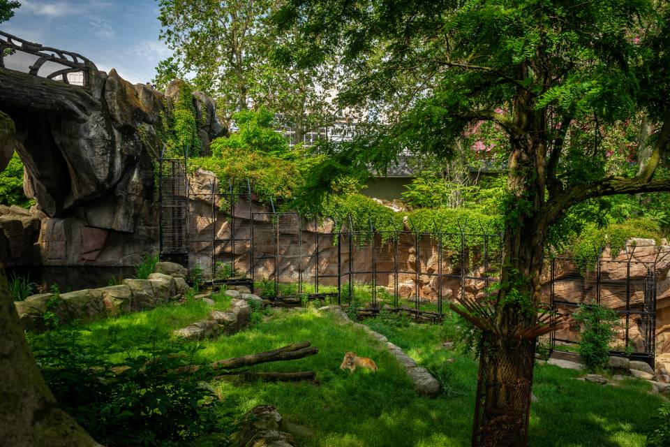 ZOO d'Anvers / Jonas Verhulst