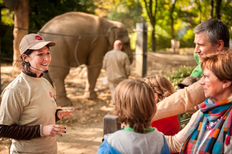 ZOO Antwerpen / Jonas Verhulst