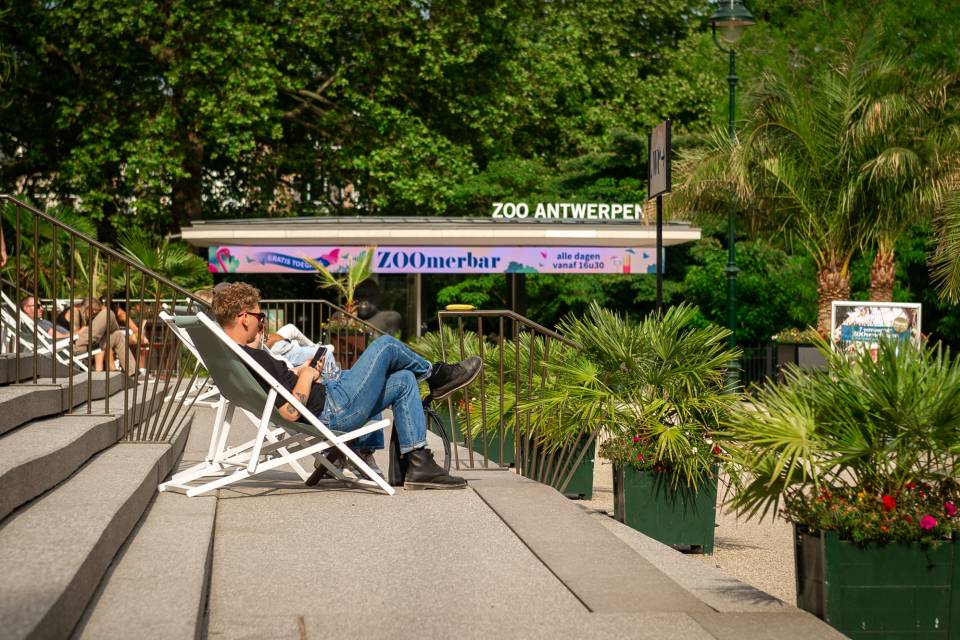 ZOO d'Anvers / Jonas Verhulst