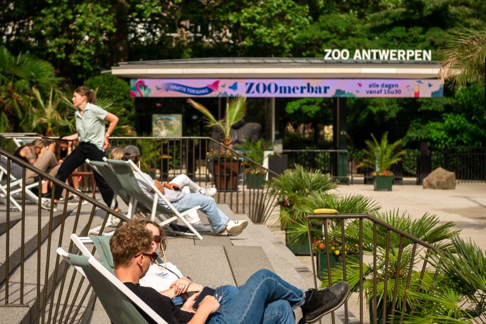 ZOO d'Anvers / Jonas Verhulst