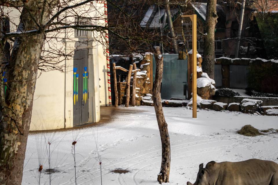 ZOO Antwerpen / Jonas Verhulst