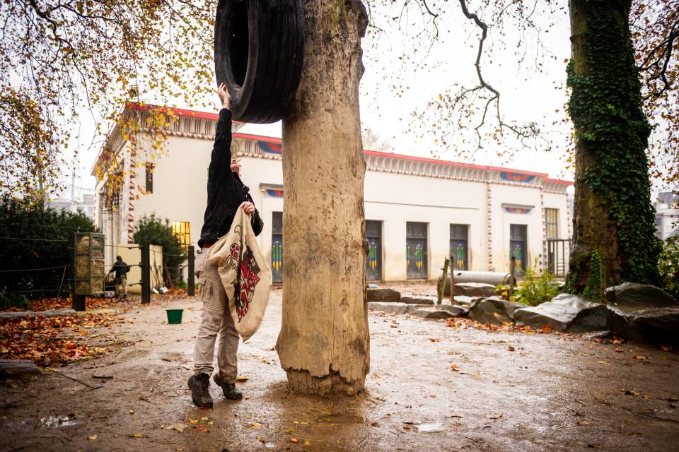 ZOO d'Anvers / Jonas Verhulst