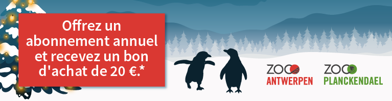 Bons cadeau du ZOOd'Anvers