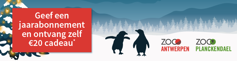 Cadeaubon ZOO Planckendael
