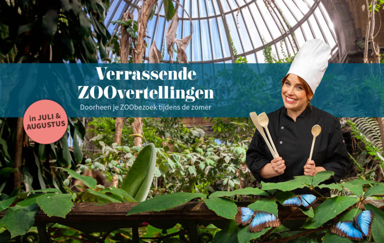ZOOvertellingen