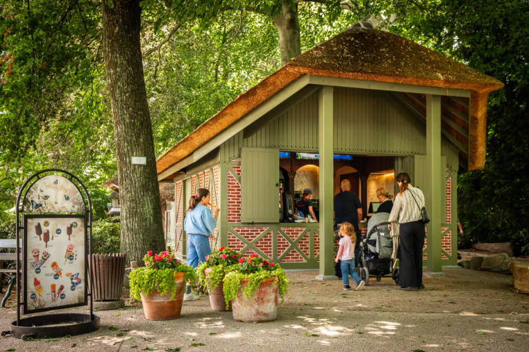 De Chimp ZOO Antwerpen