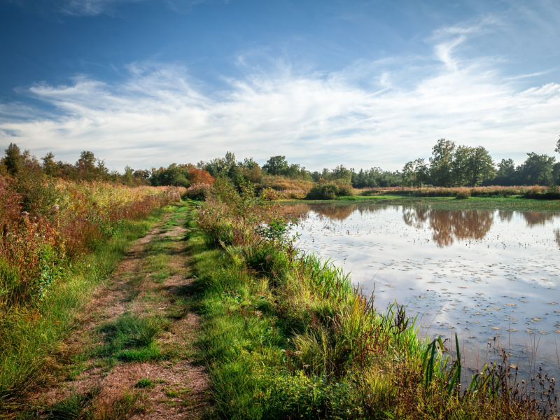 Natuurgebied De Zegge