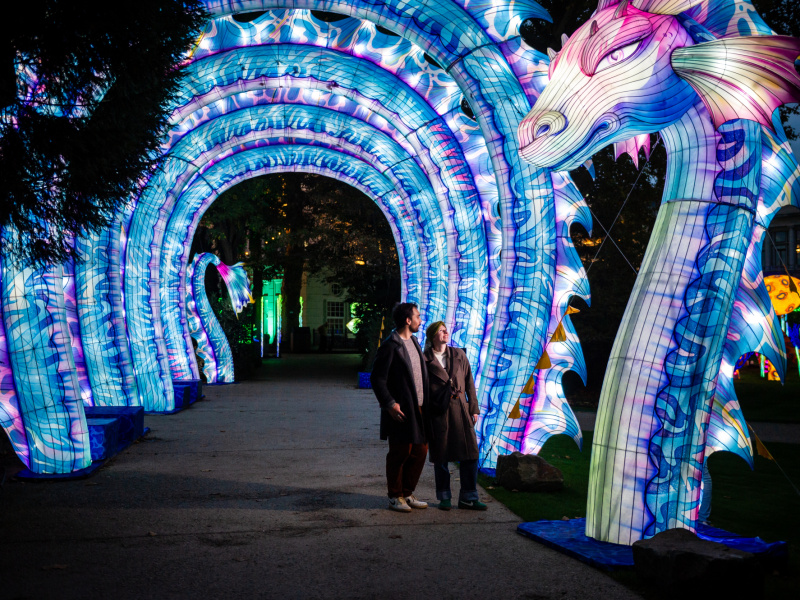 Lichtfestival keert terug naar ZOO Antwerpen!